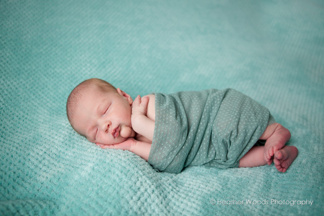 newborn photography winnipeg